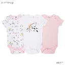 Weixin Image_20251225131637.webp