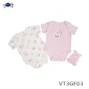 Bodysuits & Toy 3 pcs set (VT3GF03) sizes: 0-3/3-6/6-9 Months
