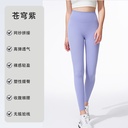 CK2240 - Nylon/Nylon chinlon 75%, Spandex 25% -  Purple - S,M,L,XL